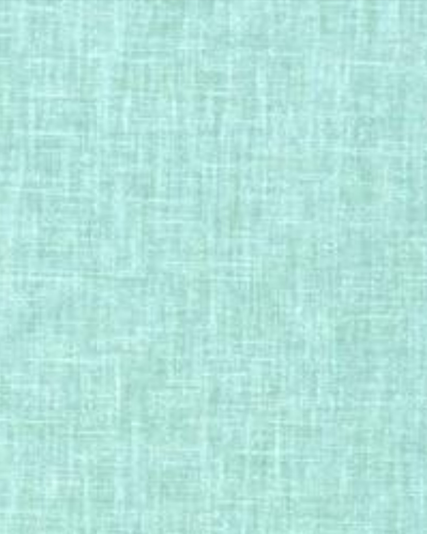 Mint Whisper Plain Drapes
